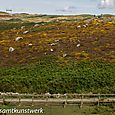 Craggy moor