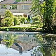 Waterside garden