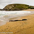 Gunwalloe Church Cove