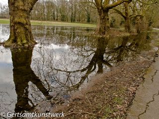 Tooting Puddle