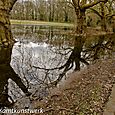 Tooting Puddle