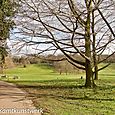 Scenery ruined by golf course