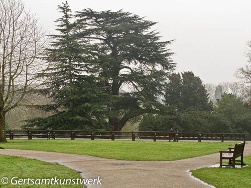 Rookery Terrace