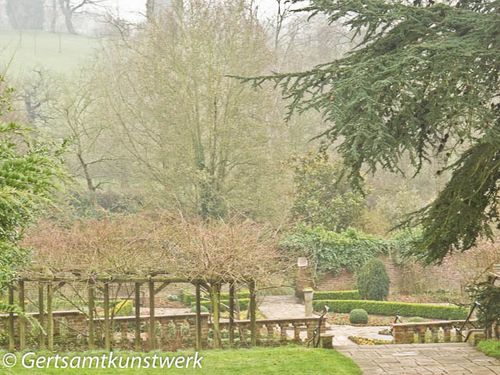 Misty trees