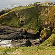 Lizard Point