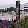 St Helena Pier