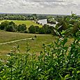 Petersham Meadows