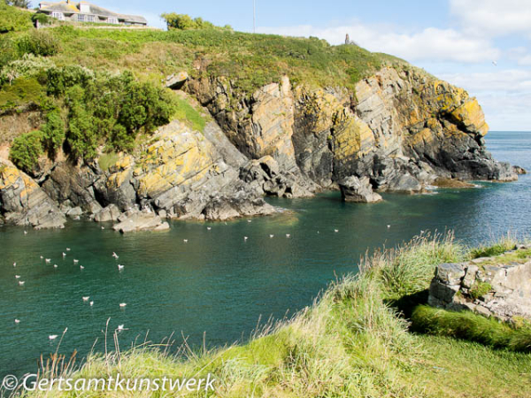 Gertsamtkunstwerk: Cadgwith Cove