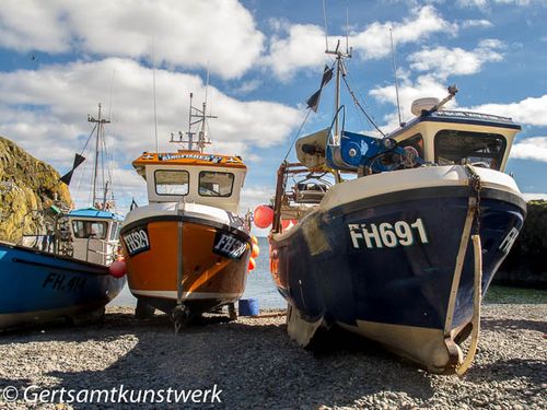 Fishing boats