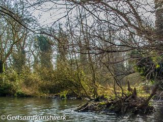 Mudbank