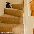 Stairs dog