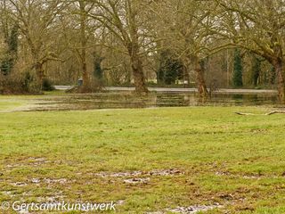 Bedford Hill Flood