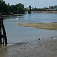 Hammersmith Bridge