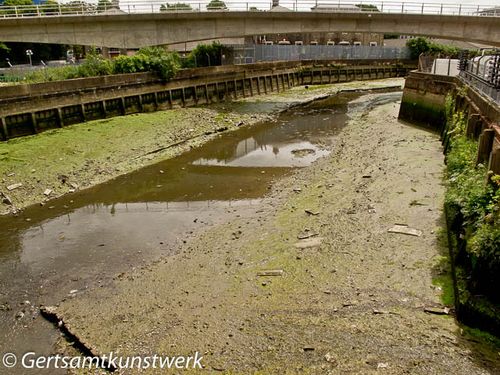 Low tide creek