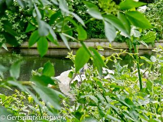 River Ravensbourne (2)