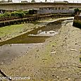 Low tide creek