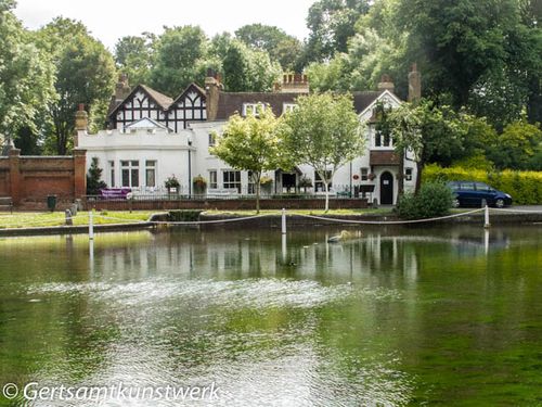 Carshalton ponds