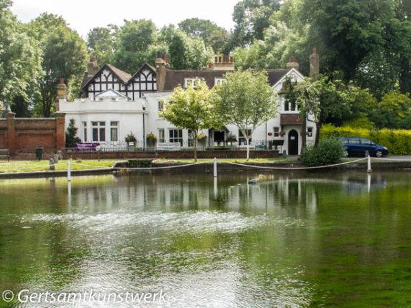 Gertsamtkunstwerk: A Wandle Ride In June