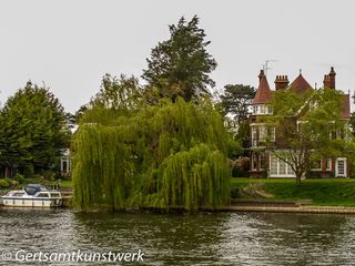Turrets and willow