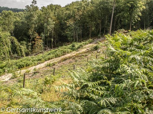 Hindhead common