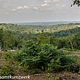 Punchbowl view