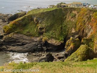 Lizard Point