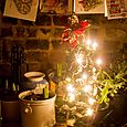 Xmas tree
