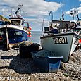 Fishing boats