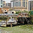 Beached boats