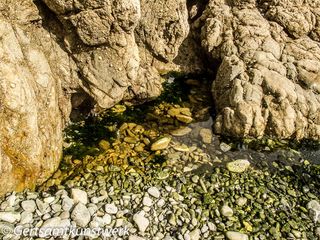 Rock pool