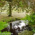 Bend in the river