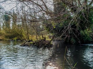 Island in the stream