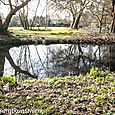 Wandle plains