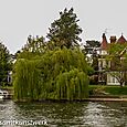 Turrets and willow