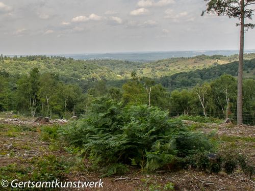 Punchbowl view