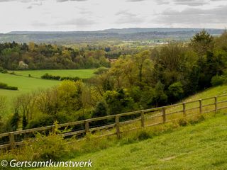 Wooded foothills