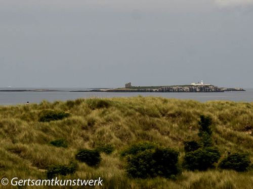 Inner Farne