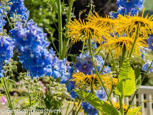 Yellow and blue