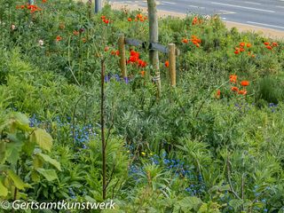 Olympic flowers