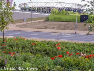 Stadium flowers