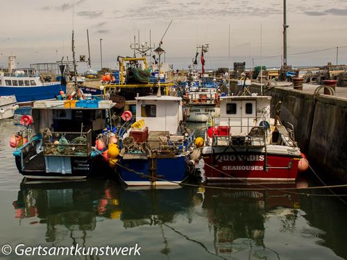 Fishing boats