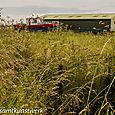 Boat in field