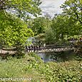 Footbridge