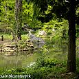 Swampy marshland