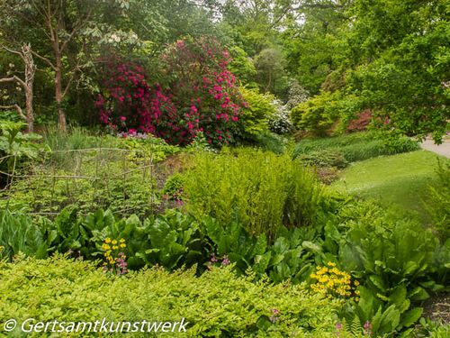 Spring damp day