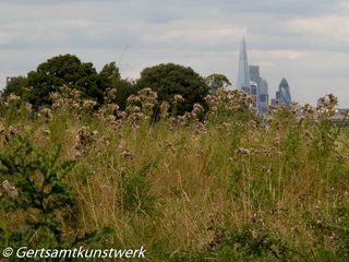 City towers