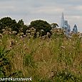 City towers