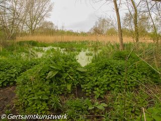 Wetlands