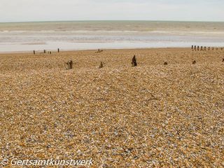 Groynes