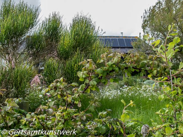 Gertsamtkunstwerk: Rye Harbour to Winchelsea walk